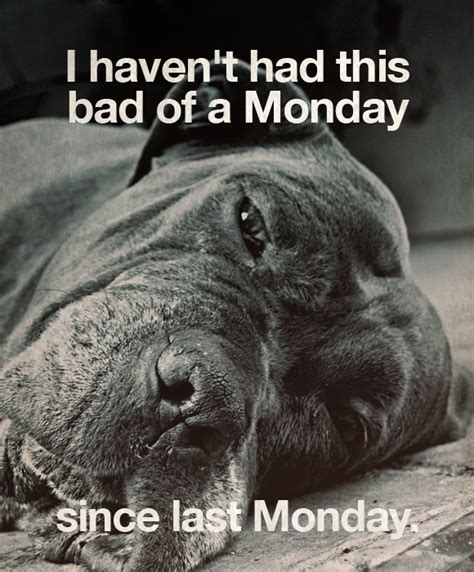 Bad monday - Mondays have long been disparaged for being difficult, demanding and damaging to the tranquility or happiness created over the weekend. But you can reclaim your happiness on Mondays—and every day.